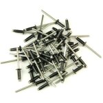 250 rivets eclates 4x20 noirs