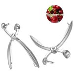 2pcs denoyauteur a cerise olives pitter noyaux extracteur raisins cranberries extracteur de cuisine outil ...