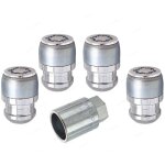 4 vis antivol haute secu chrome 14x15 60degres 25mm douille 17 - 27184sl