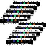 40 bandelettes de temp�rature autocollantes pour analyse d'urine, 90 � 100 degr�s fahrenheit, thermom�tre ...