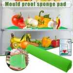 5 tampons antimoisissure pour r�frig�rateur ? vert ? antibact�rien ? remplacement facile