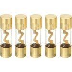 5 x 100a fusible agu voiture automobile l'audio puissance scurit protger tube de verre plaqu or protection ...
