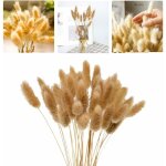 60 pcs 40cm fleurs séchées naturelles herbe de pampa, d'herbe queue de lapin bouquet de fleurs pour chambre ... 60 pcs 40cm fleurs séchées naturelles herbe de pampa, d'herbe queue de lapin bouquet de fleurs pour chambre ...