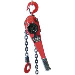 Berger&schrter - 60589 palan  chane  double cliquet capacit de charge (sans poulie de guidage) 1000 ...