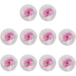 Aafgvc - 10 pices manchons de rechange pour lampes  pression lampe  ptrole lampe  gaz