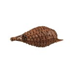 Nichoir canard branches de saule