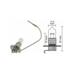 Ampoule halog�ne h3 universelle 12v - 100w