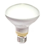 Ampoule incandescente réfléchissante r90 e - 27 100w Ampoule incandescente réfléchissante r90 e - 27 100w