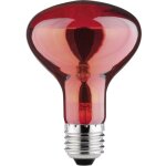 Ampoule infrarouge e27 60 w ( x l) 80 mm x 115 mm 230 v 1 pc(s) - paulmann