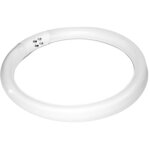 Ampoule (lampe fluorescente) lampe loupe s4 22w