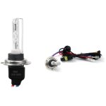 Ampoule xnon hid h7m 6000k mtal amio - 01427