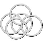 Anneau porte - cl�s en m�tal argent�, 2 mm de large, 30 mm de diam�tre ext�rieur, 5 anneaux s�par�s, ...