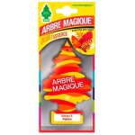 Arbre magique mono dsodorisant pour voiture parfum mangue et papaye