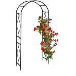 Arche a rosiers en metal noir