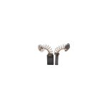 Jeu de charbons pour outillage lectroportatif - 0842x - cori