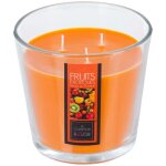 Atmosphera - bougie parfume fruits exotiques 500g crateur d'intrieur