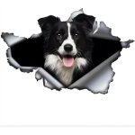 Autocollant de voiture 25 cm (9, 8 pouces) autocollant border collie dr�le border collie autocollant ...