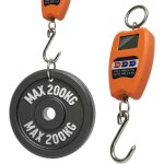 Balance professionnelle num�rique industrielle crochet dynamom�tre ressort max 200 kg, assortis