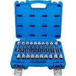 Bgs technic - jeu de douilles à embouts 12, 5 mm (1 / 2') six pans femelle, profil t (pour torx), polygone ... Bgs technic - jeu de douilles à embouts 12, 5 mm (1 / 2') six pans femelle, profil t (pour torx), polygone ...
