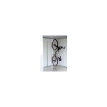 Biohort - porte - vélos bike max pour europa metal house 1 Biohort - porte - vélos bike max pour europa metal house 1