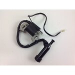 Bobine d'allumage gtm pour taille - haies gt 600g et moteurs gte 160 ohv 008538 Bobine d'allumage gtm pour taille - haies gt 600g et moteurs gte 160 ohv 008538