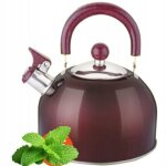 Bouilloire 2, 5 l cerise brillante avec sifflet induction gaz inox apetite