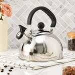 Bouilloire sifflante inox 2. 5l pour induction, poign�e r�sistante � la chaleur pour cuisini�re et gaz ...