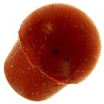 Bouton de soupape cafetire, machine  caf 502226 magimix cafetire, machine  caf 502226 magimix