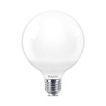 Ampoule globe led 14w e27 g95 3000k