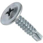Ersandy - c44741 - lot de 100 vis  tle autoperceuses 4. 2x19mm  tte large bombe -  empreinte ph ...