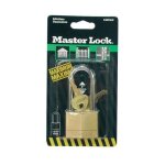 Cadenas lait. 70mm anse 36mm bl. 170eurd - master lock