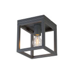 Cage - plafonnier - 1 lumi�re - l 180 mm - gris fonc� - design, industriel, moderne - �clairage int�rieur ...