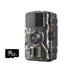 Camra de surveillance portable 16 mp 1080p, ip66 tanche, 38 lumires infrarouges, pour chasse, observation ...