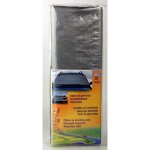 Carlinea bache pare - brise 110cm x 200cm plastique