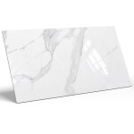 Carrelage taill� pour sol ou mur int�rieur 60 cm x 120 cm - swiss white grey