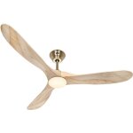 Casafan - ventilateur de plafond eco genuino laiton & bois 152 avec led