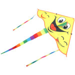 Cerf - volant enfant triangle portable motif sourire jouet plein air familial