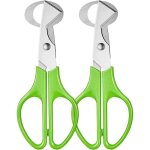 Ciseaux � oeufs de caille, ciseaux � ?ufs en acier inoxydable, coupe - coquille d'oeuf, oeuf shell cutter ...