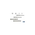 Lot de 2 pièces pour wc bouchon long 6 x 80 mm inox. Lot de 2 pièces pour wc bouchon long 6 x 80 mm inox.