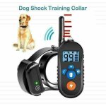 Collier de dressage pour chien, collier anti aboiement, rechargeable avec 3 modes vibration / choc / ...