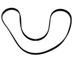 Courroie 1161j5 (54929 - 22229) (55x2987) lave - linge brandt, thomson, vedette, fagor, sangiorgio, siemens, ... Courroie 1161j5 (54929 - 22229) (55x2987) lave - linge brandt, thomson, vedette, fagor, sangiorgio, siemens, ...