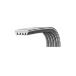 Courroie 1195j5 14000223101 / 1 pour lave linge aeg, continental edison, electrolux, essentiel b, faure, ... Courroie 1195j5 14000223101 / 1 pour lave linge aeg, continental edison, electrolux, essentiel b, faure, ...