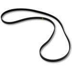 Courroie plate 1244 j5