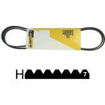 Courroie poly - v 1975 h7 - 1975h7 - 4012074071998 - universeel