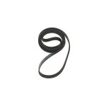 Courroie de remplacement pour lave - linge hoover 41039460