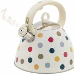 Cuisini�re � gaz vintage bouilloire � th� 3l en acier inoxydable avec poign�e en silicone