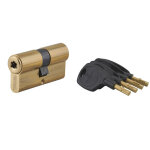 Cylindre de serrure double entr�e surveyor, 31x31mm, laiton, anti - arrachement, 4 cl�s - thirard