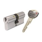 Cylindre de suret� tk6 3 cl�s incopiables double brevet nickel� 30x30 - ak6353030n