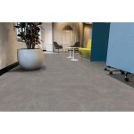 Dalles pvc clipsables harper ii titane light 91, 44x91, 44 - dimensions:91, 44x91, 44 - titane light ... Dalles pvc clipsables harper ii titane light 91, 44x91, 44 - dimensions:91, 44x91, 44 - titane light ...