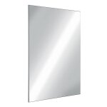 Delabie - miroir de toilette inox poli incassable rectangulaire 10x595x980